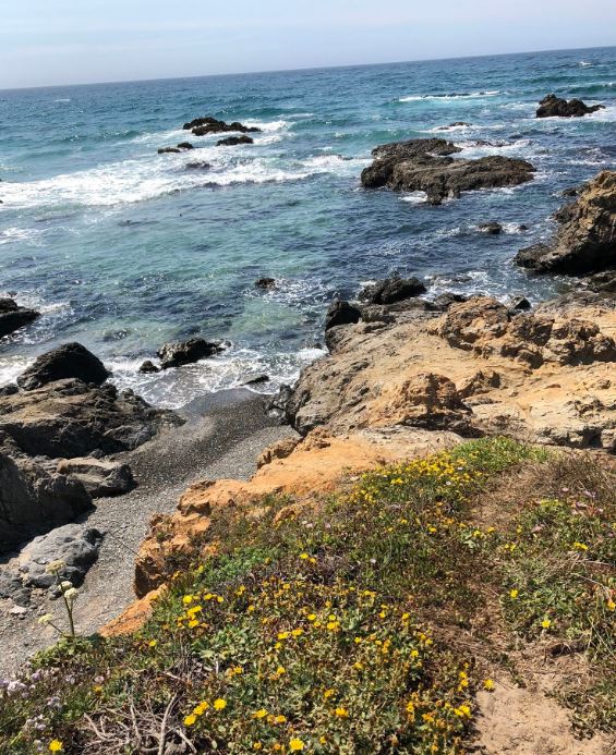 Fort Bragg Coast